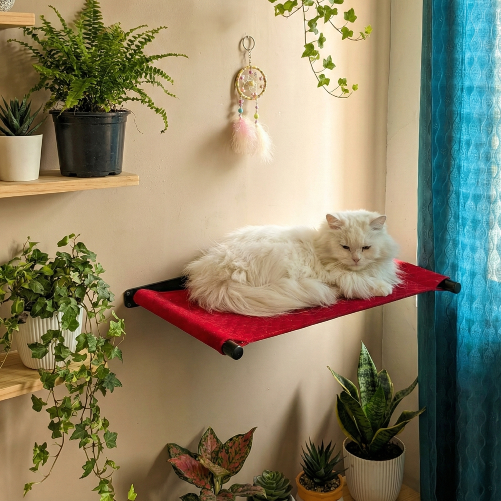 FurryLiving Kiki Wall Mounted Perch for Cats (Black/Red) image 2