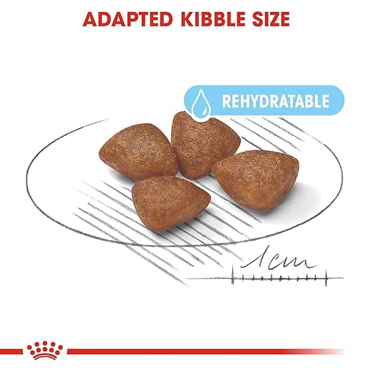 Royal Canin Mini Starter, Mother & Babydog Dry Food image 3