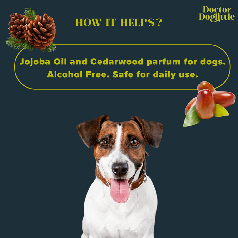 Doctor Doglittle Probiotic 2 in 1 Deodorant & Perfume for Dogs image 8