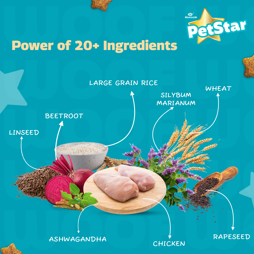 Mankind Petstar Chicken and Wheat Adult Dog Dry Food image 4