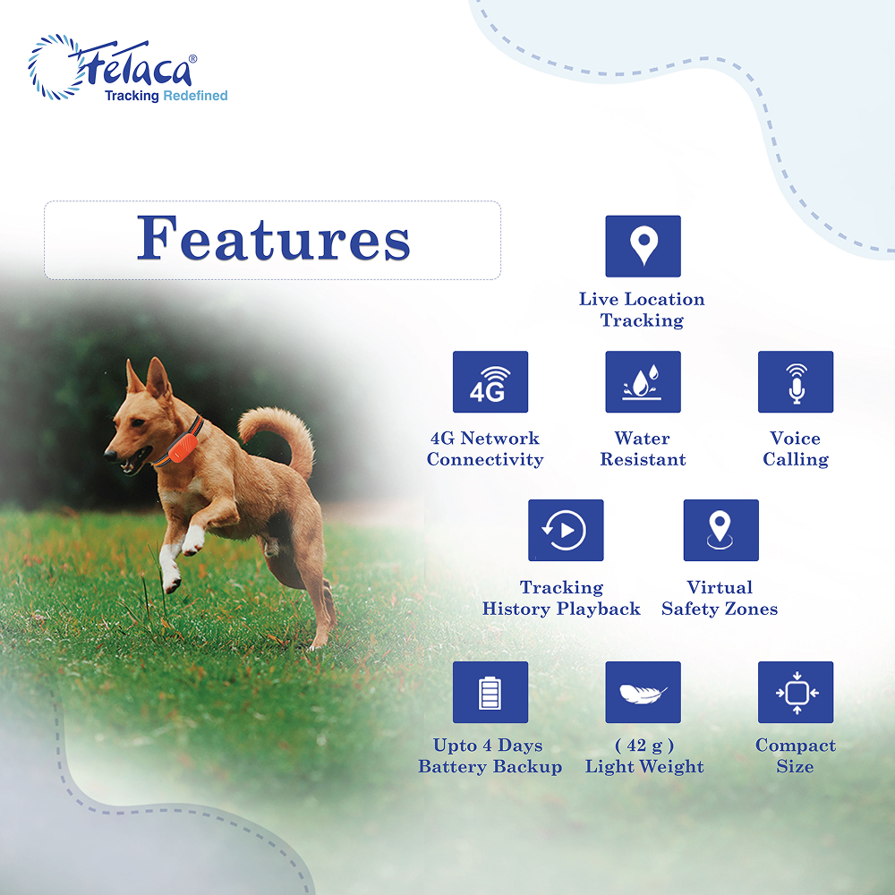 FeTaca Smart 4G GPS Tracker with Lifetime Free Tracking & 1 Year Data SIM Subscription for Dogs and Cats (Orange) image 2