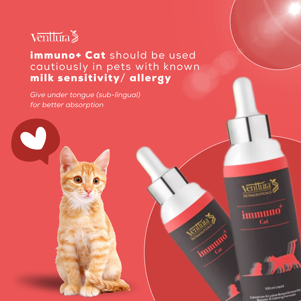 Venttura Immunity Booster & Calming Supplement for Cats image 6