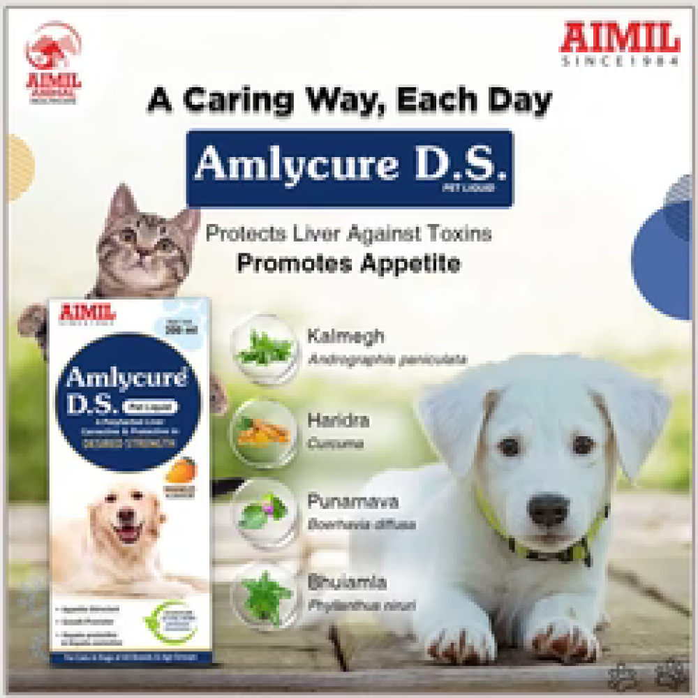 Aimil Amlycure D S Liquid Supplement for Dogs and Cats image 3