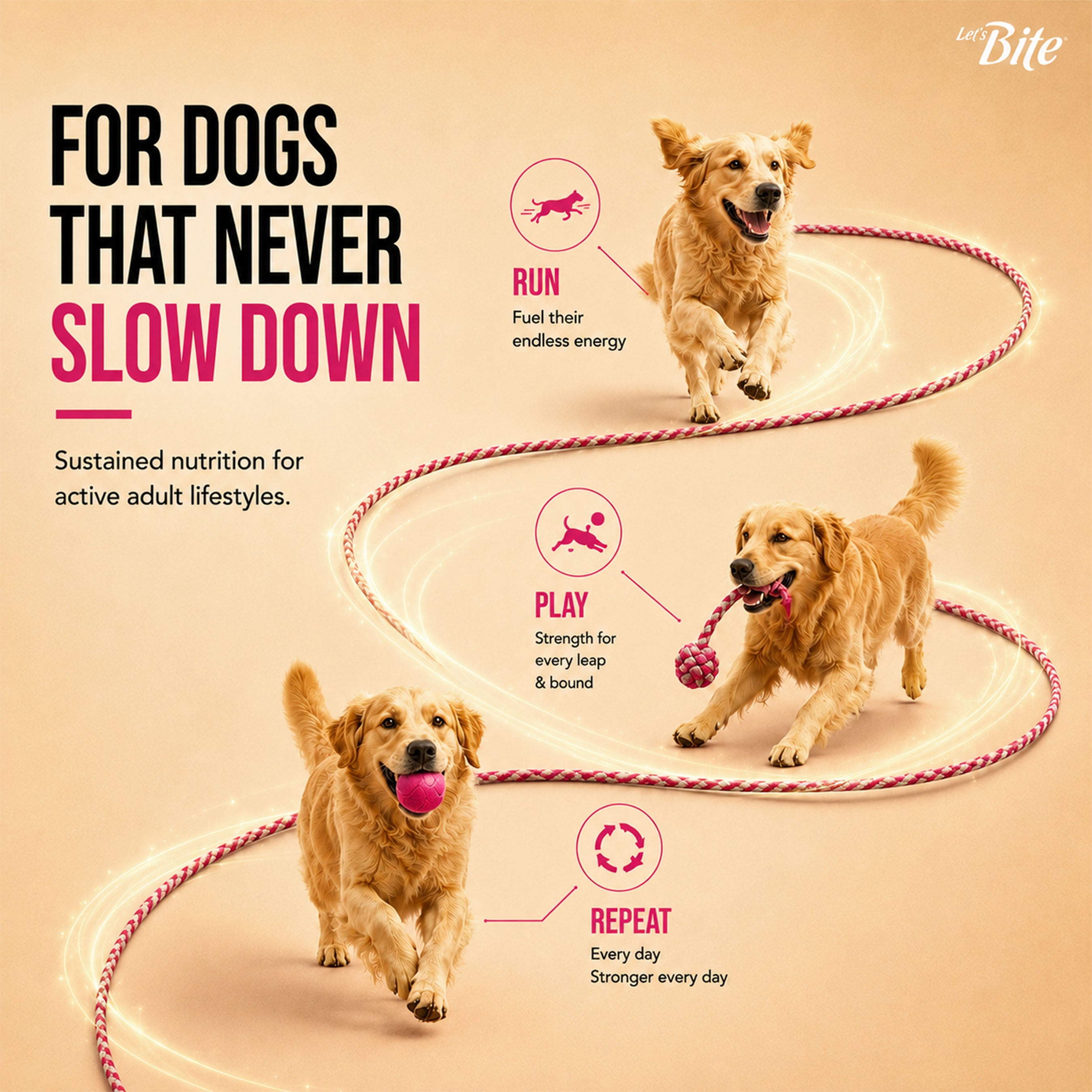 Let's Bite Active Adult Chicken Dry Food for Dogs image 3