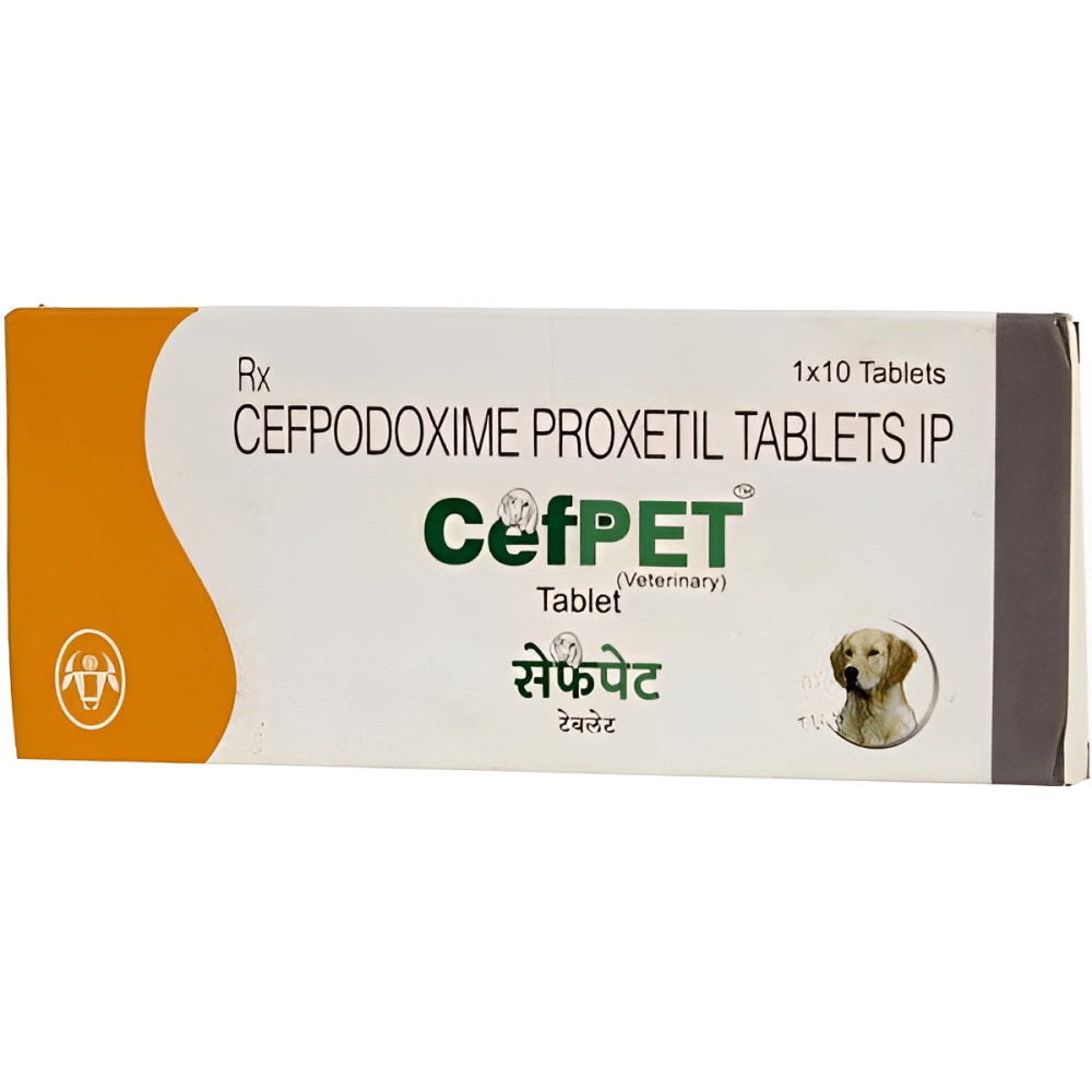 Intas Cefpet 100mg (Cefpodoxime Proxetil) Tablet for Dogs & Cats image 2