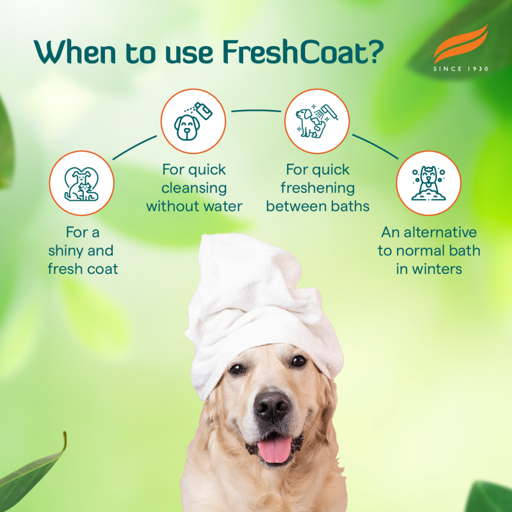 Himalaya Fresh Coat No Rinse Spray for Dogs and Cats image 3