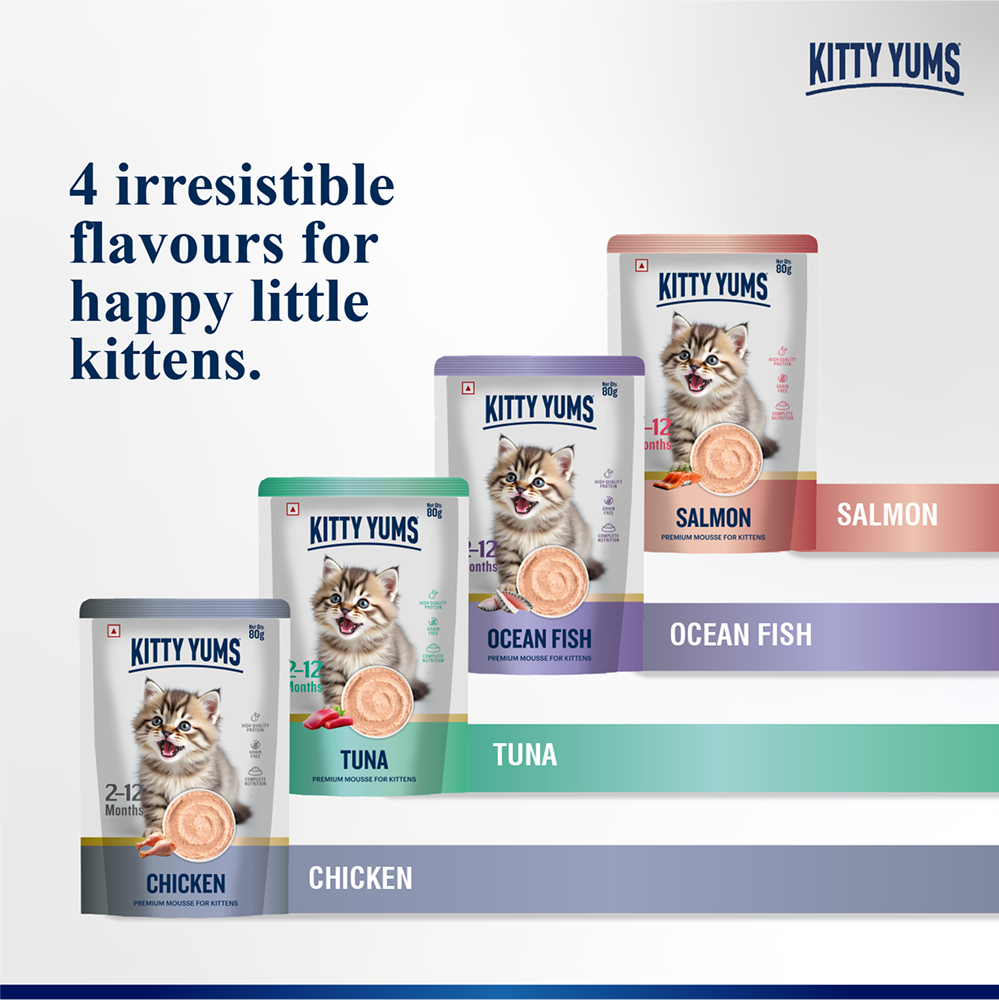 Kitty Yum Salmon Mousse Kitten Cat Wet Food image 8