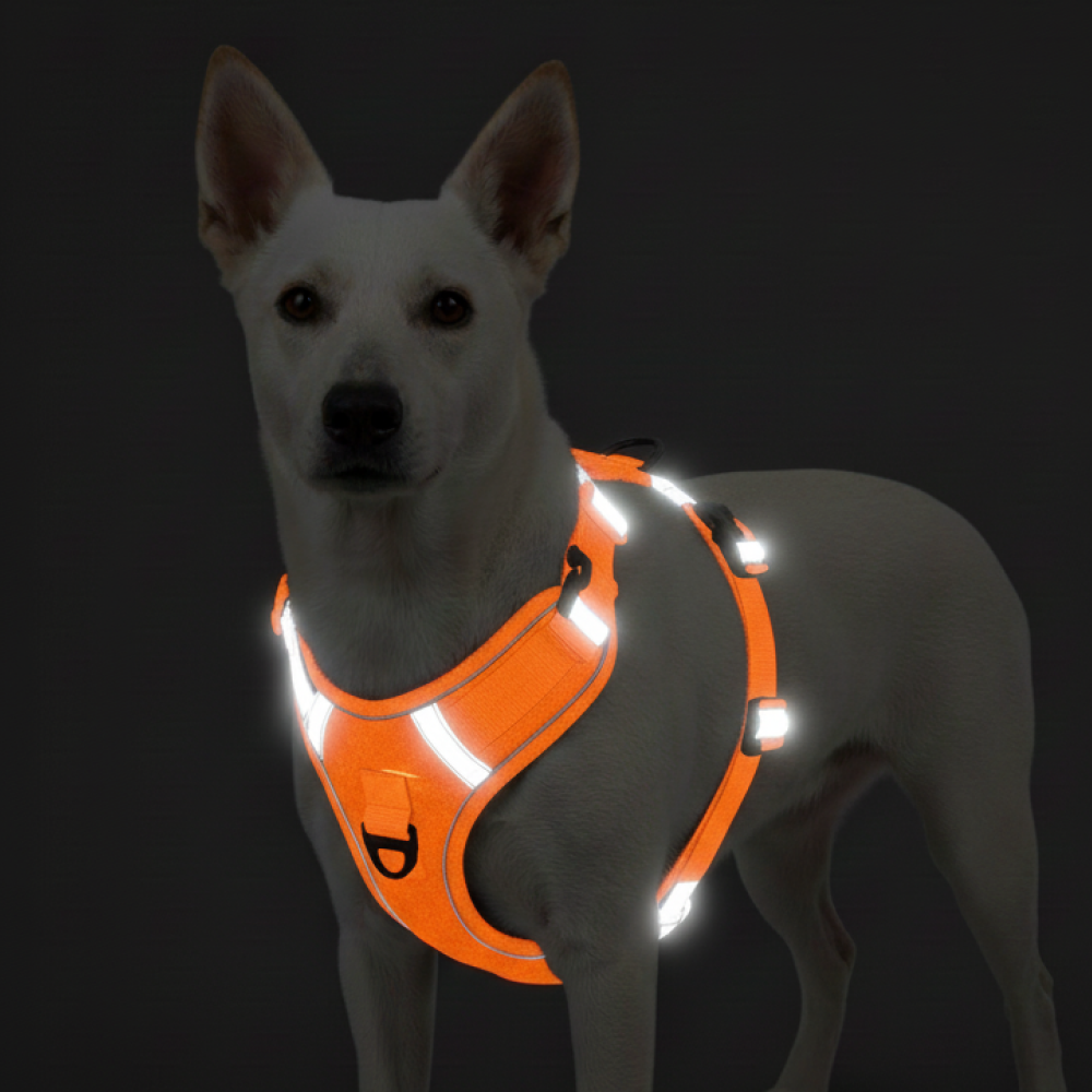 Skatrs Fully Padded Comfort Fiery Reflective Harness for Dogs & Cats (Orange) image 3