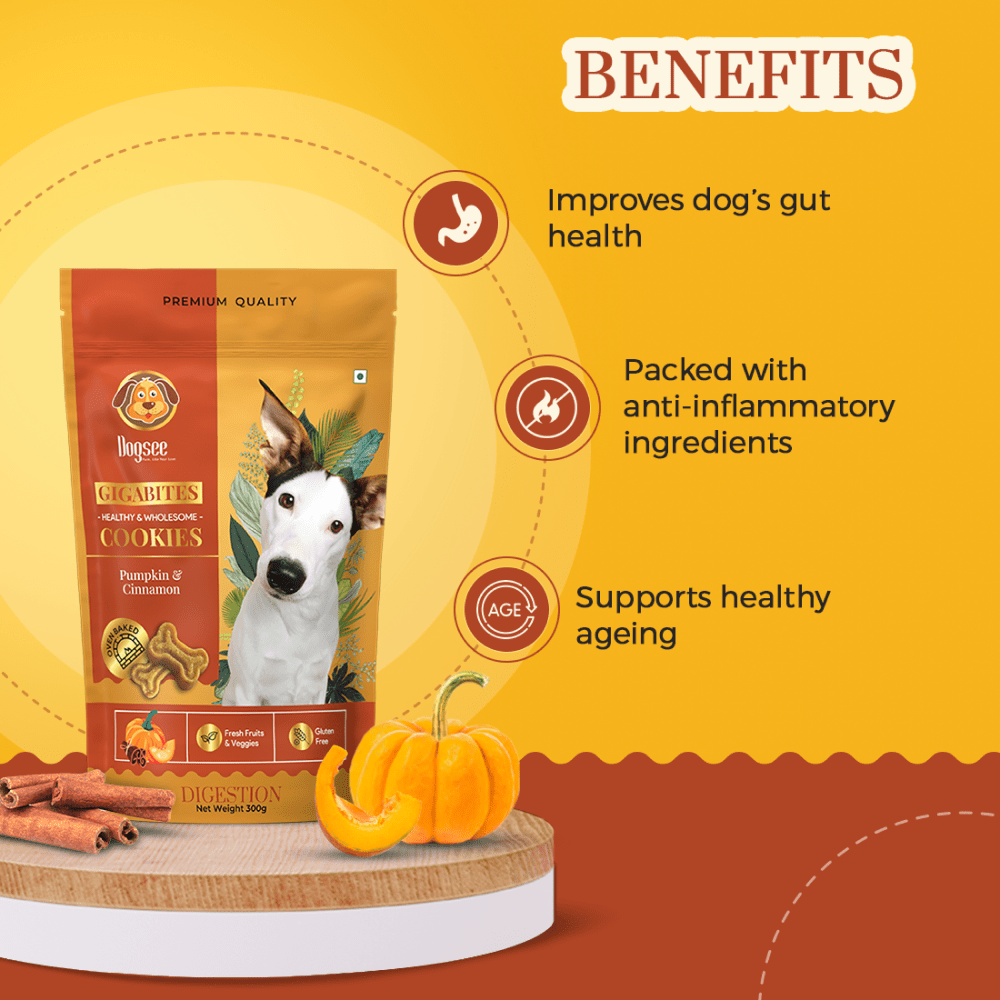 Dogsee Chew Gigabites Pumpkin and Cinnamon Dog Cookie Treats image 3