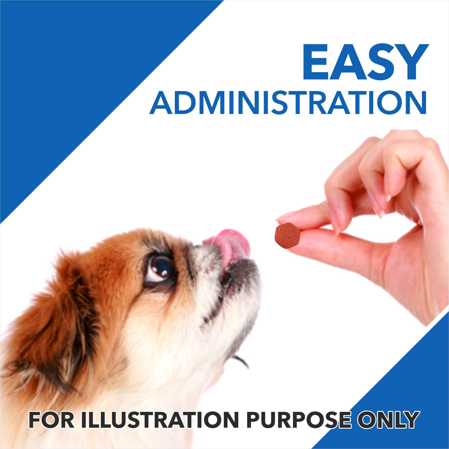 Drools Absolute Vitamin and Absolute Calcium Supplement Tablets for Dogs Combo image 6