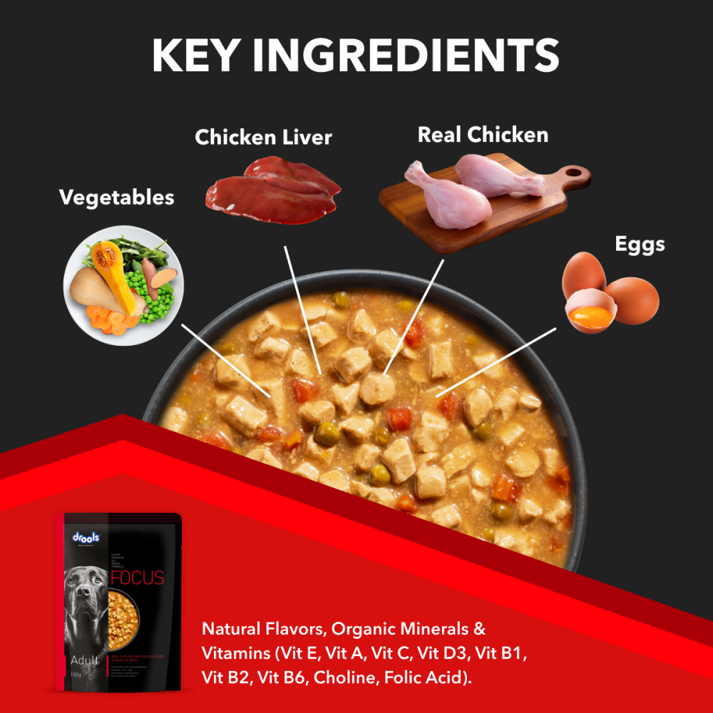 Drools Focus Real Chicken & Chicken Liver Chunks in Gravy Adult Dog Wet Food image 5