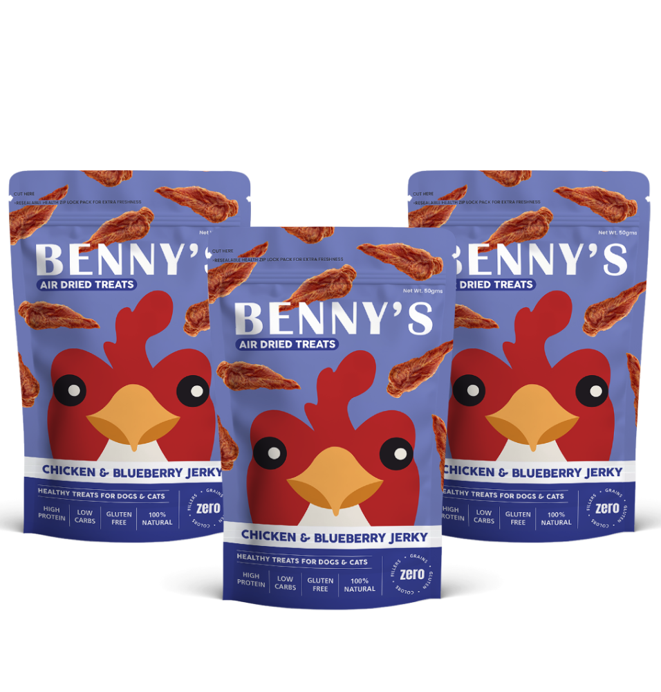 Bennys Bowl Chicken and Blueberry Jerky Dog Treats image 8