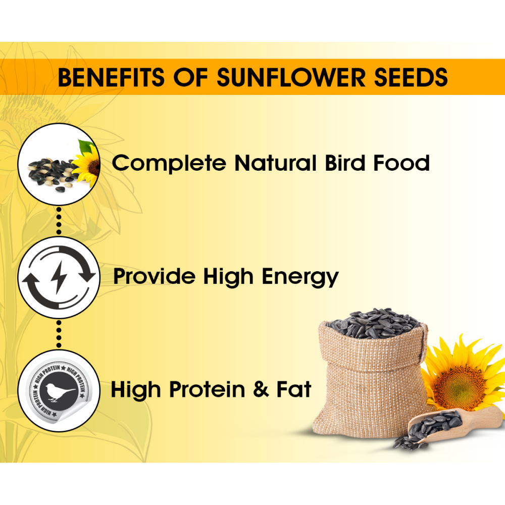 Boltz Striped Sunflower Seeds Bird Food image 2