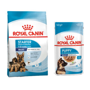 Royal Canin Maxi Starter Dry Food and Maxi Puppy Dog Wet Food Combo