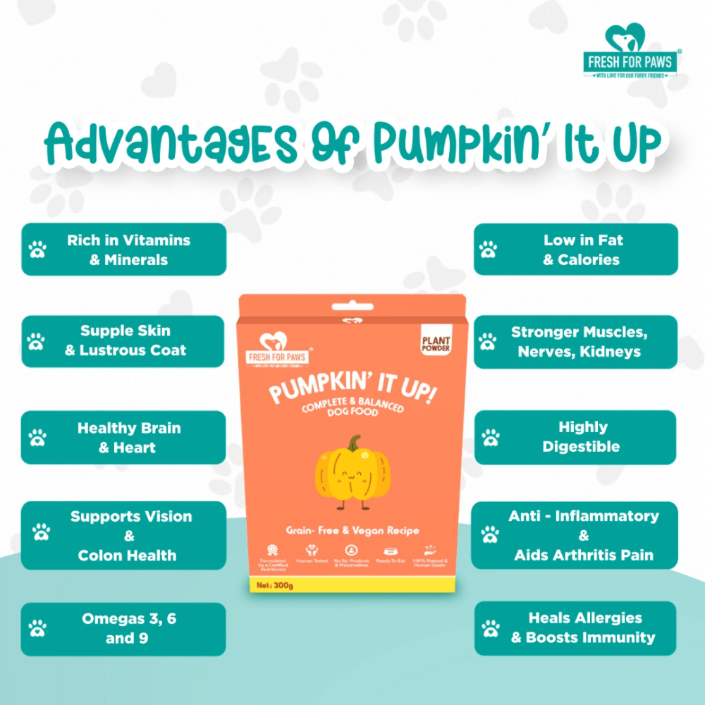 Fresh For Paws Pumpkin It Up Dog Wet Food (100g) image 6