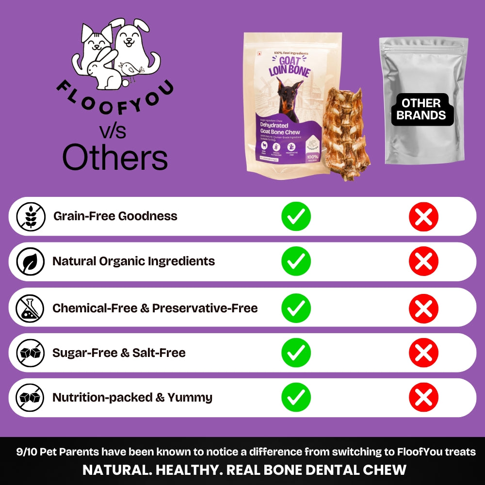 Floofyou Air Dried Goat Loin Bone Dental Chew Dog Treats image 6