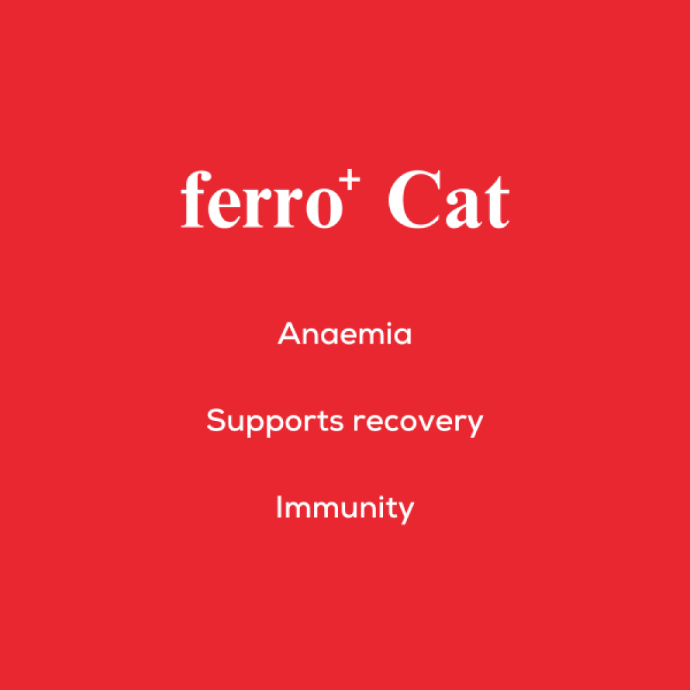 Venttura Ferro Blood Booster & Immunity Supplement for Cats image 8