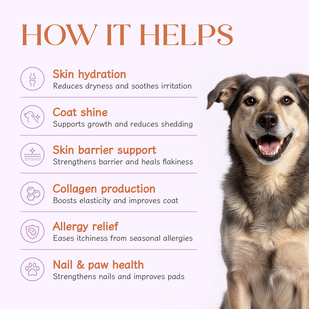 Hope Vegan Skin+Coat Supplement for Dogs image 6