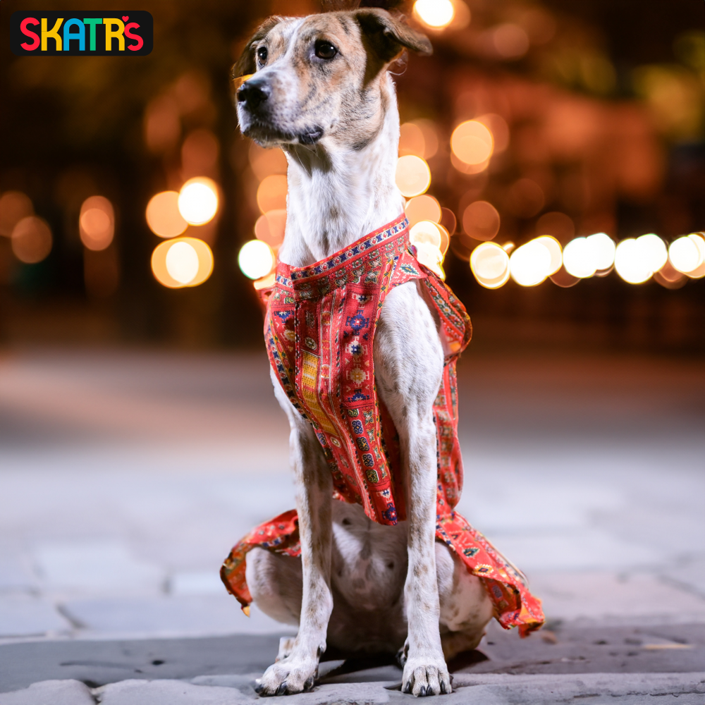 Skatrs Cotton Printed Dress for Dogs and Cats (Red) image 2