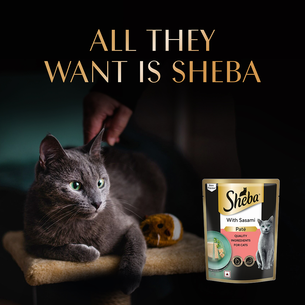 Sheba Sasami Pate Rich Premium Adult Fine Cat Wet Food image 10