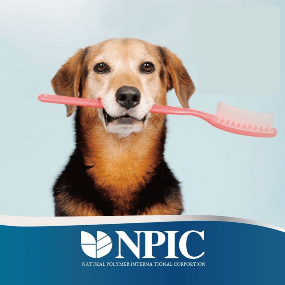 NPIC Twistix Vanilla Mint Flavor Dog Treat image 6