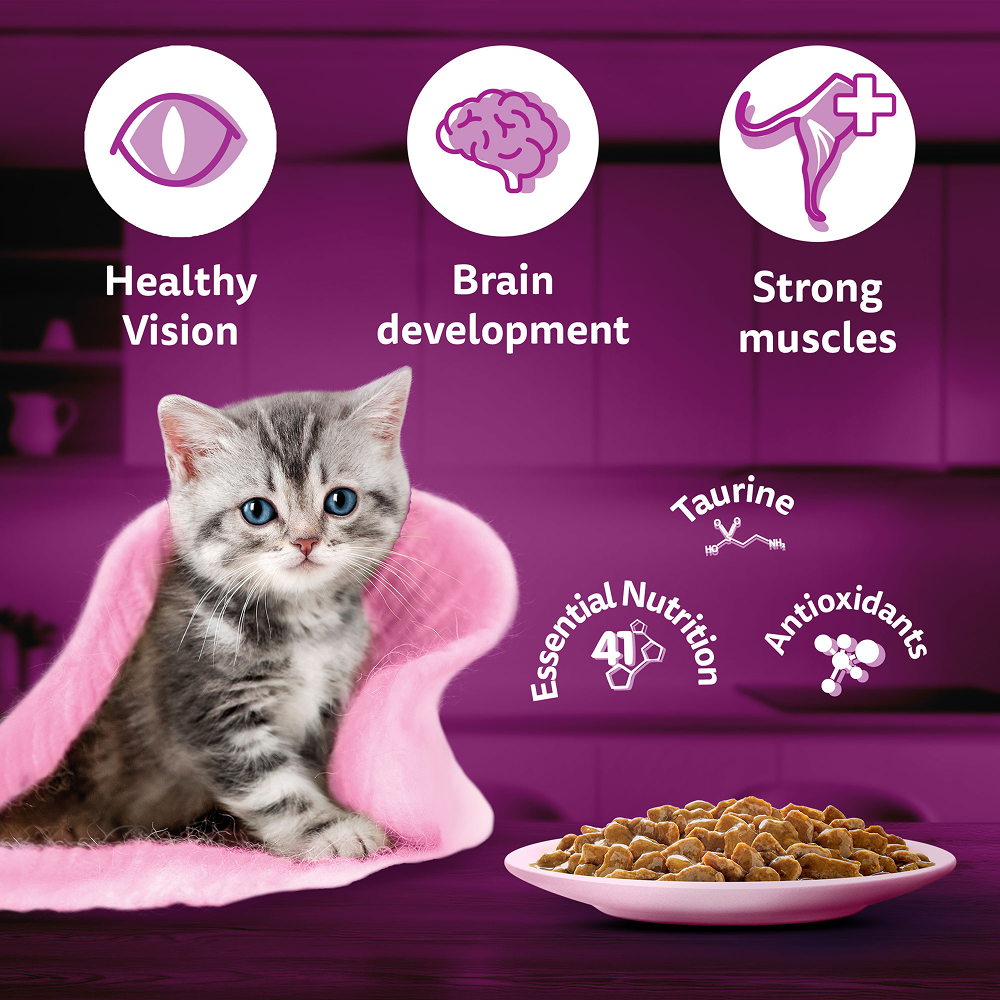 Whiskas Tuna in Jelly Kitten Cat Wet Food (80g) image 6