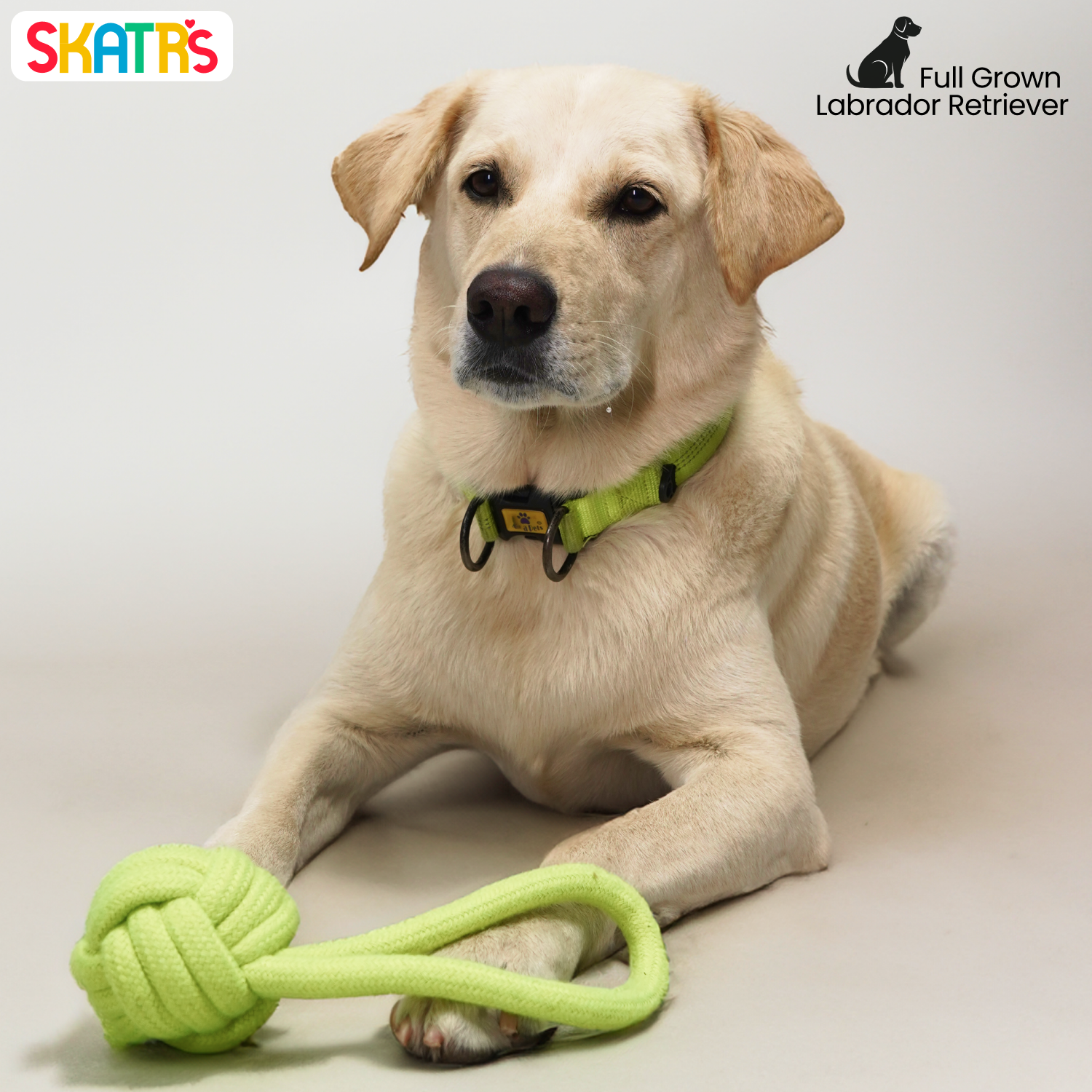 Skatrs Hand Made Knotted Ball with Handle Rope Chew Toy for Cats and Dogs (Neon Green) image 4