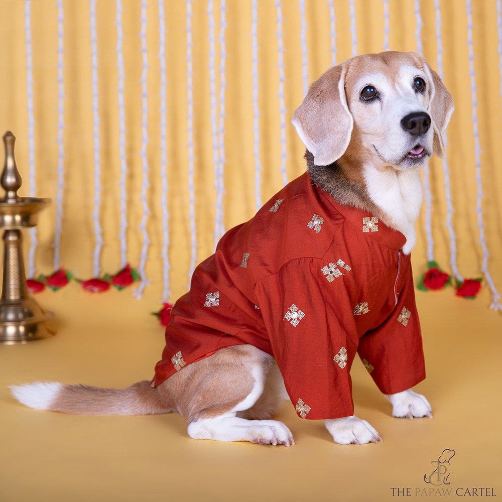 The Papaw Cartel Butta Festive Embroidered Kurta for Dogs & Cats (Orange)