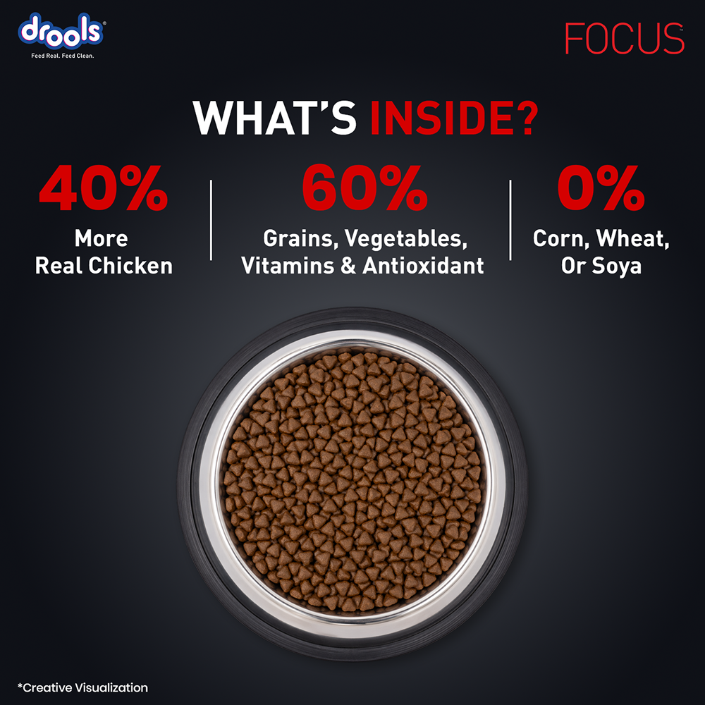 Drools Focus Super Premium Starter Dog Dry Food | Corn & Wheat Free Formula image 10