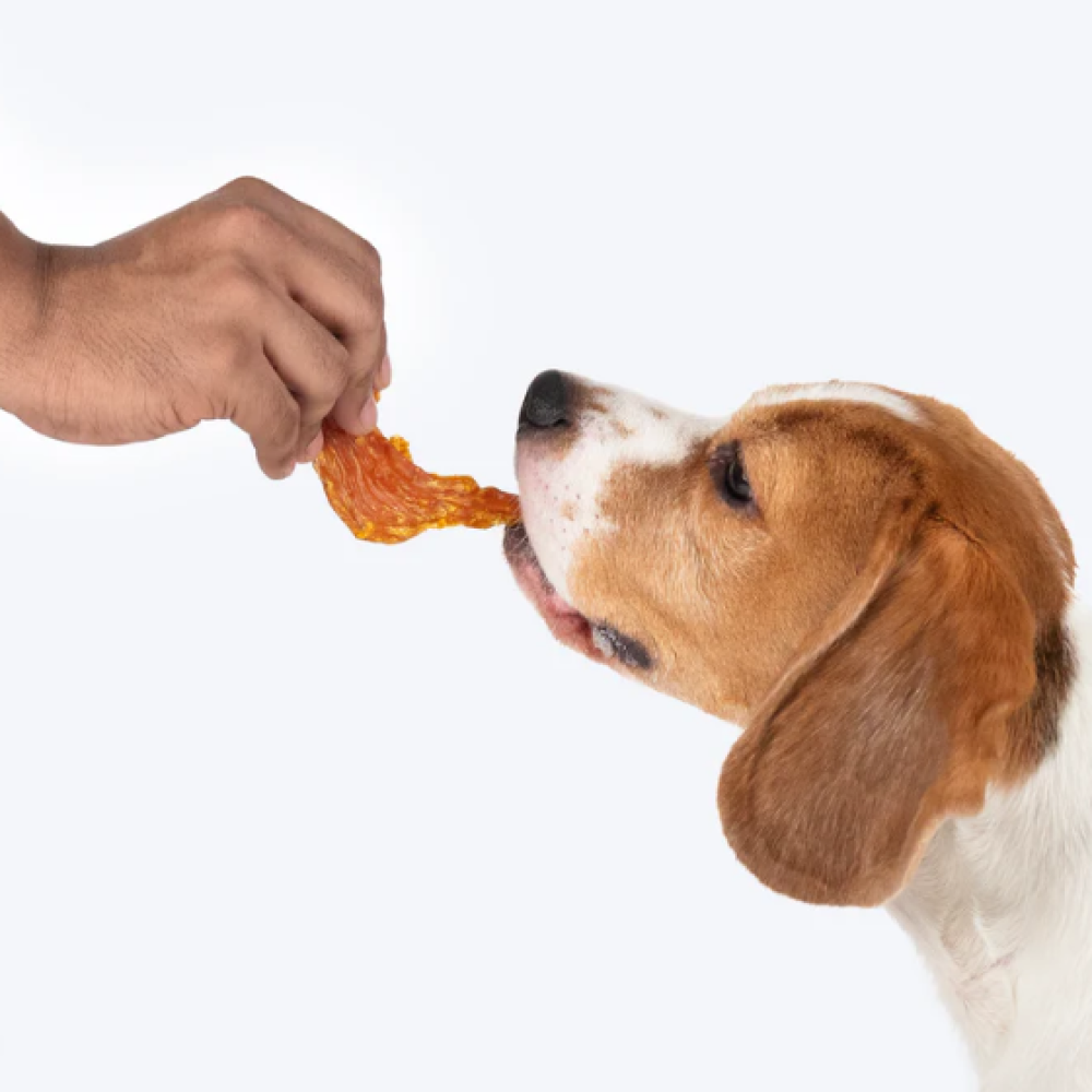 HUFT Sara's Doggie Mango Chicken Jerky Dog Treats image 3
