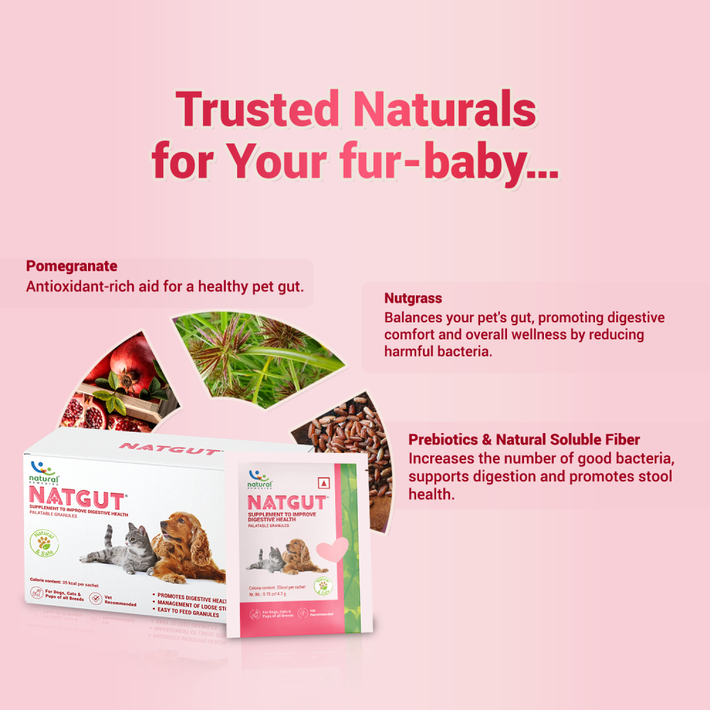 Natural Remedies Natgut Granules 4.2 GMS Sachet Supplement for Cats and Dogs image 4