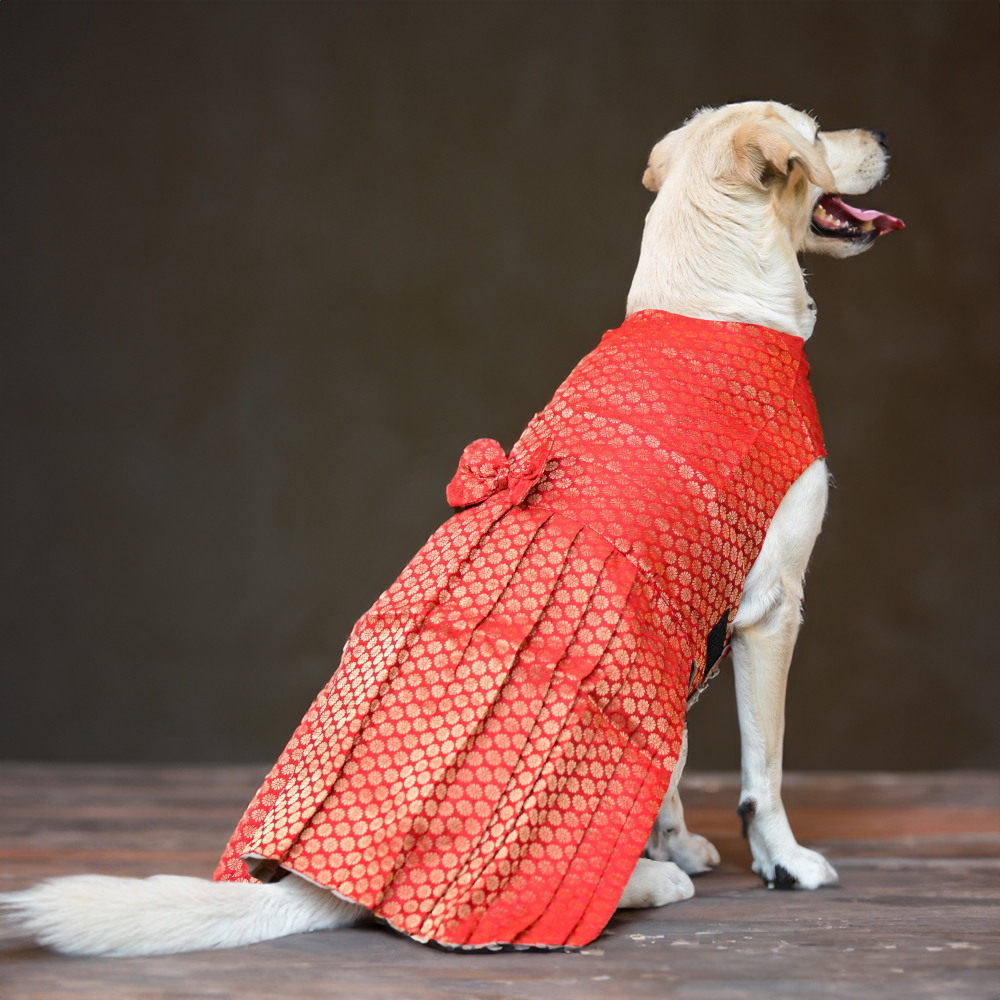 Skatrs Brocade Gold Printed Dress for Dogs and Cats (Red) image 5
