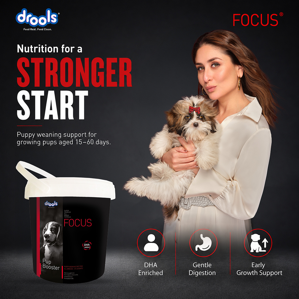 Drools Focus Pup Booster Puppy Weaning Diet for All Breeds (300g) image 2