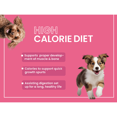 Bark Out Loud Chicken & Ancient Grains Puppy Dry Food image 6