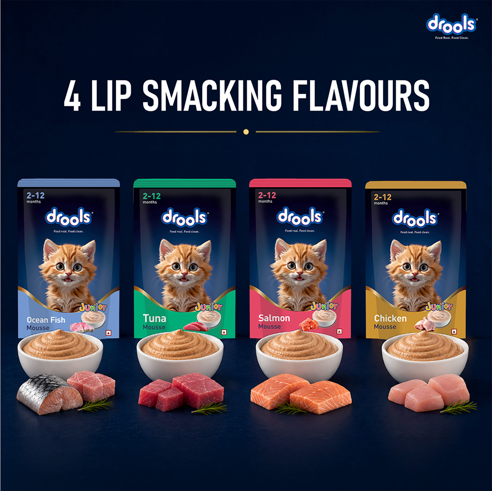 Drools Chicken Mousse Kitten Cat Wet Food image 9