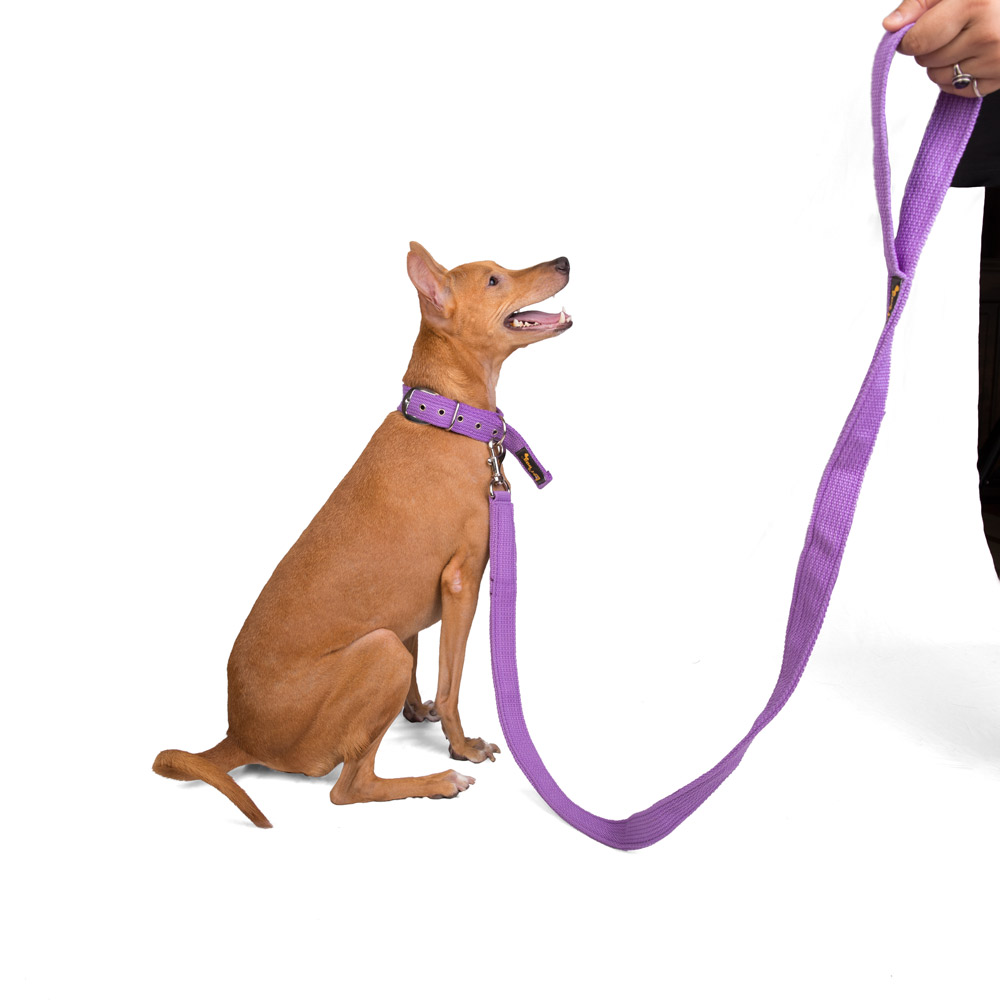 Let's Wag Single Handle Fabric Leash for Dogs (Purple) image 5