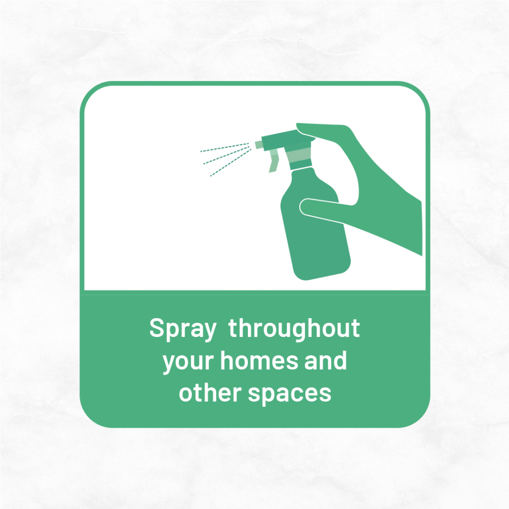 Born Good Plant Based Biodegradable and Non Toxic Air freshener Spray for Home and Office image 6