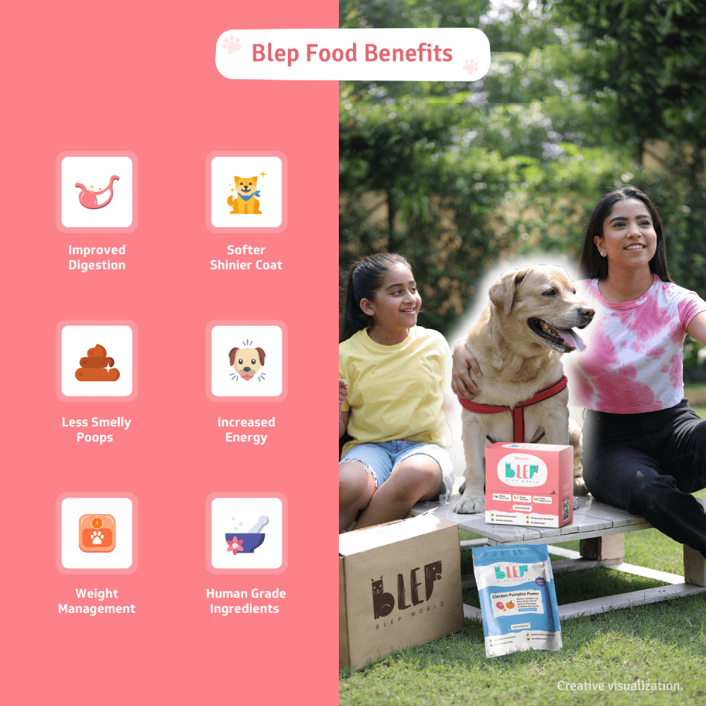 BLEP Trial Box Dog Wet Food image 3
