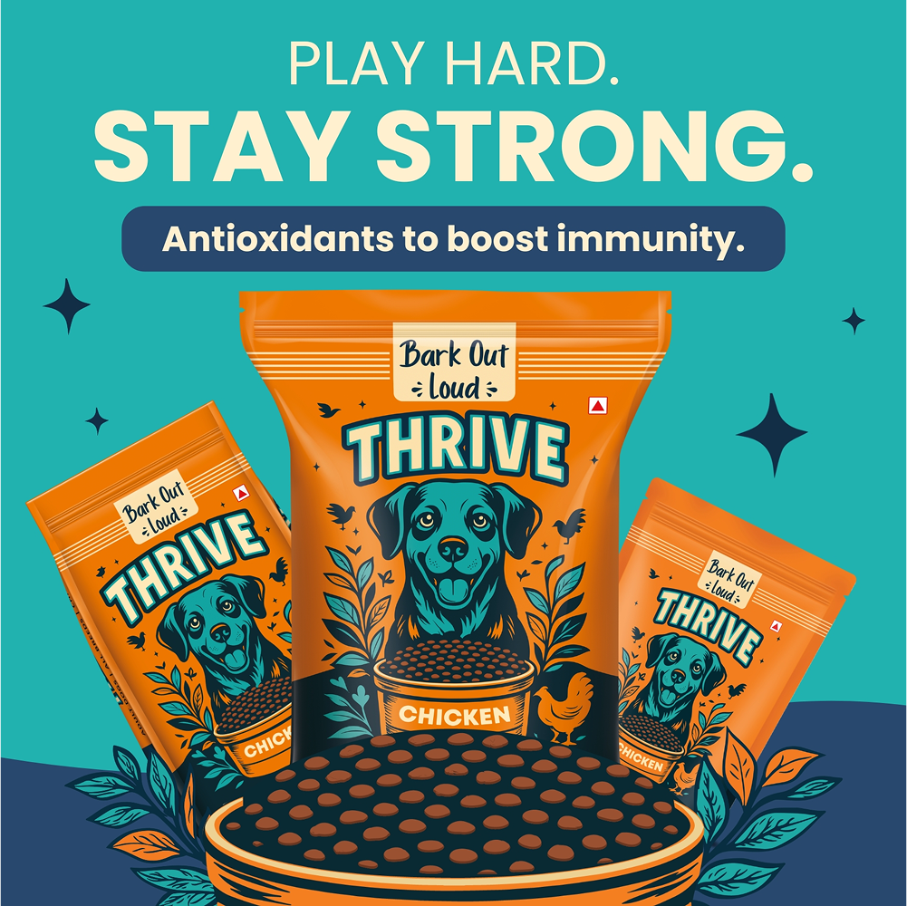 Bark Out Loud Thrive Chicken Flavour Adult Dog Dry Food image 2