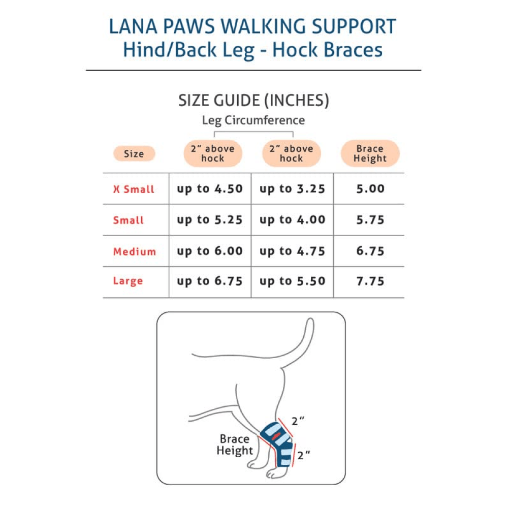Lana Paws Back Leg Splint Braces for Hock Joint Ankle Support & Mobility for Dogs and Cats (Black) image 2