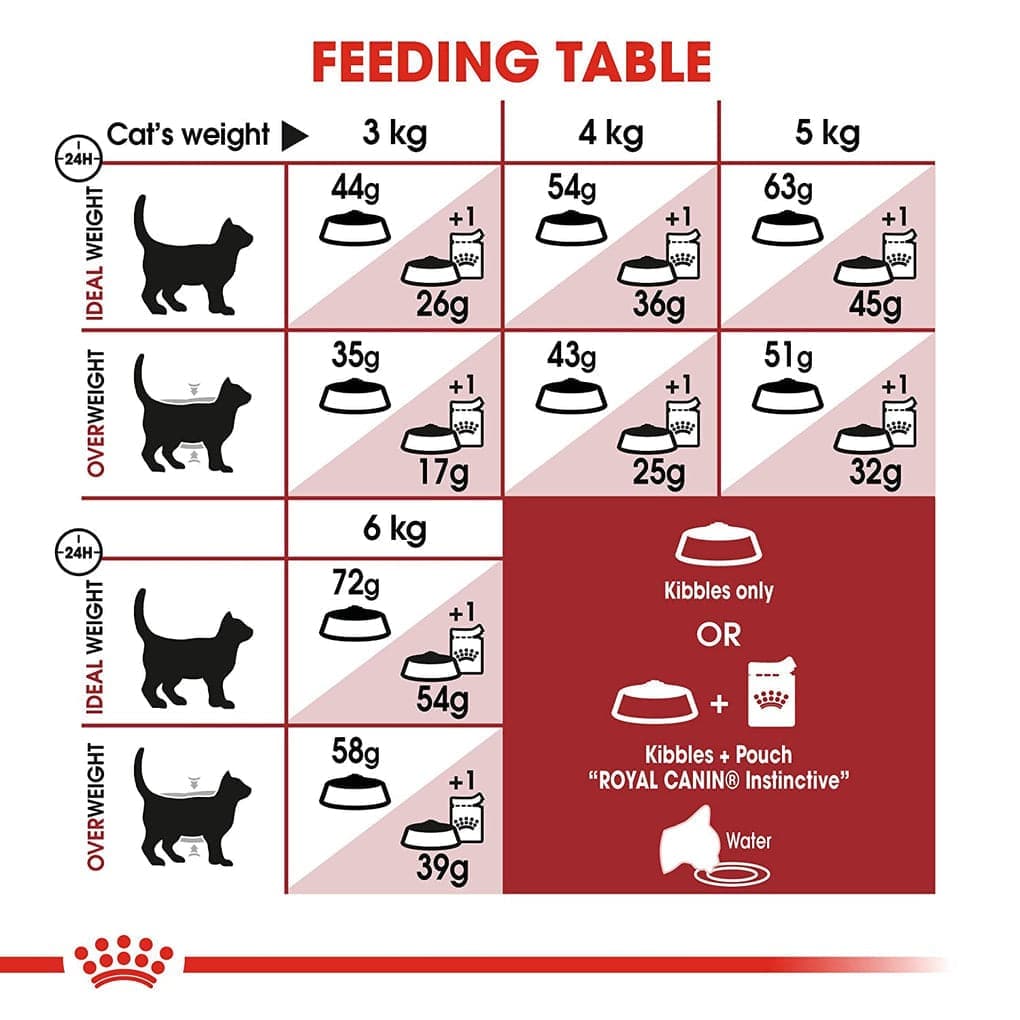 Royal Canin Fit 32 Regular for Adult Cat Dry Food image 5