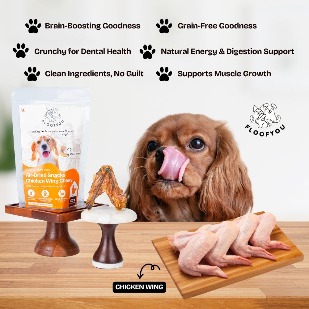 Floofyou Air Dried Chicken Wings Crunchy Dental Chew Dog Treats image 4
