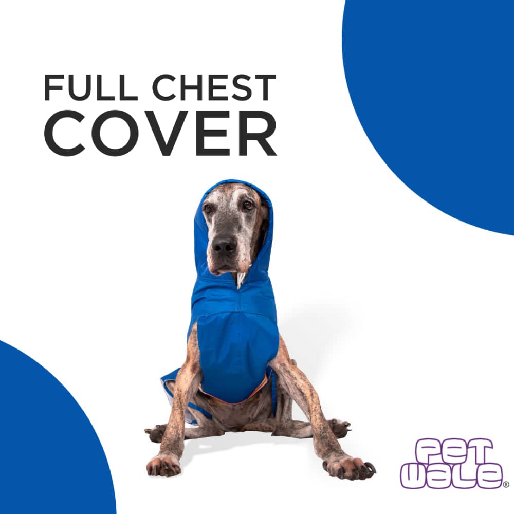 PetWale Reflective Raincoat for Dogs (Royal Blue) image 3