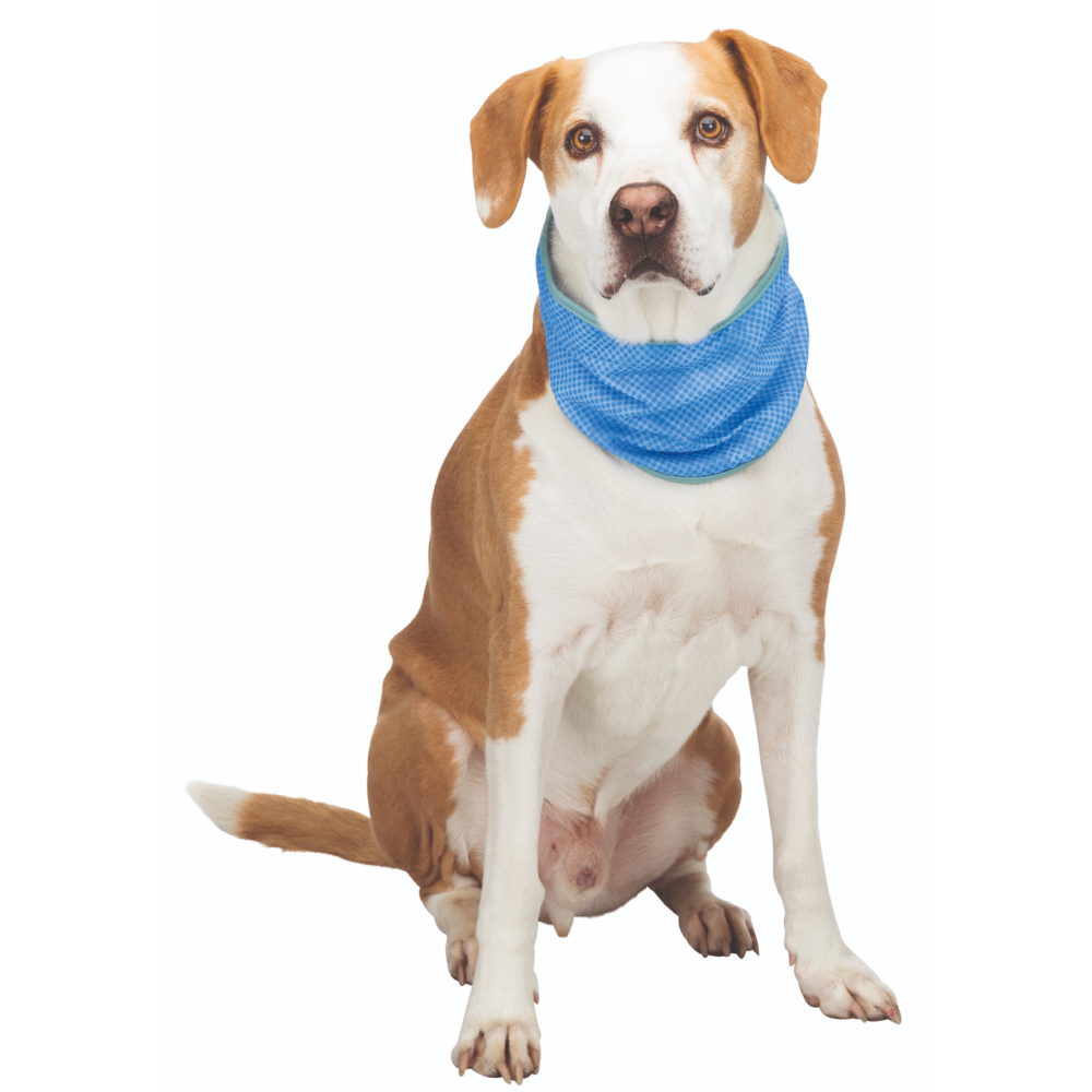 Trixie Cooling Bandana for Dogs (Blue) image 3