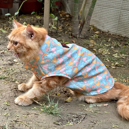 Pawgypets Mickey Overloaded Sando for Cats (Pastel Green) image 3