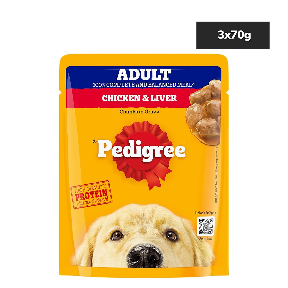 Pedigree Chicken and Liver Chunks in Gravy Adult Dog Wet Food (Pack of 3)