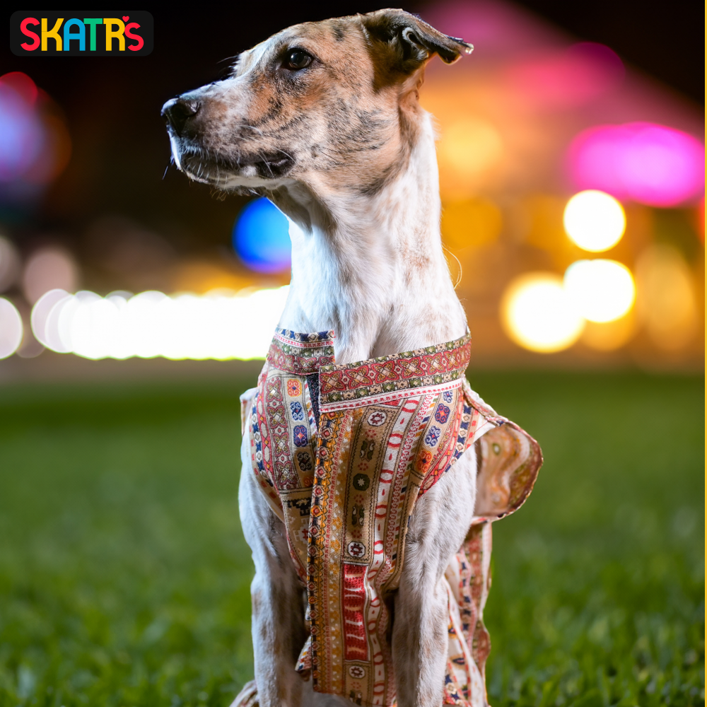 Skatrs Cotton Printed Dress for Dogs and Cats (White) image 4