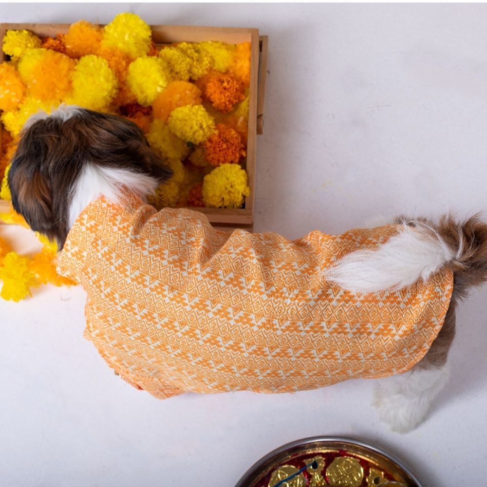 15 Furries Haldi Kurta for Dogs image 4