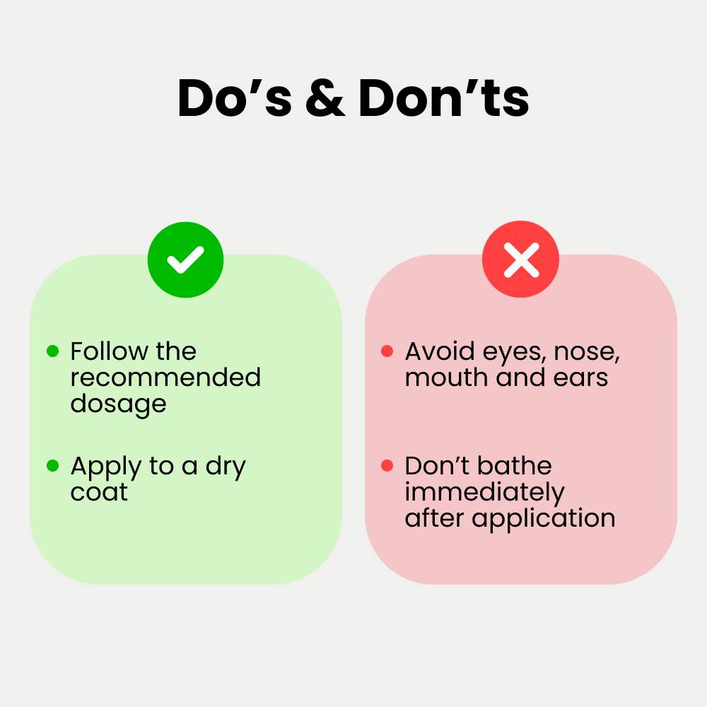 Natural Remedies Fresh Me Up Bloom Dry Shampoo for Dogs and Cats image 8