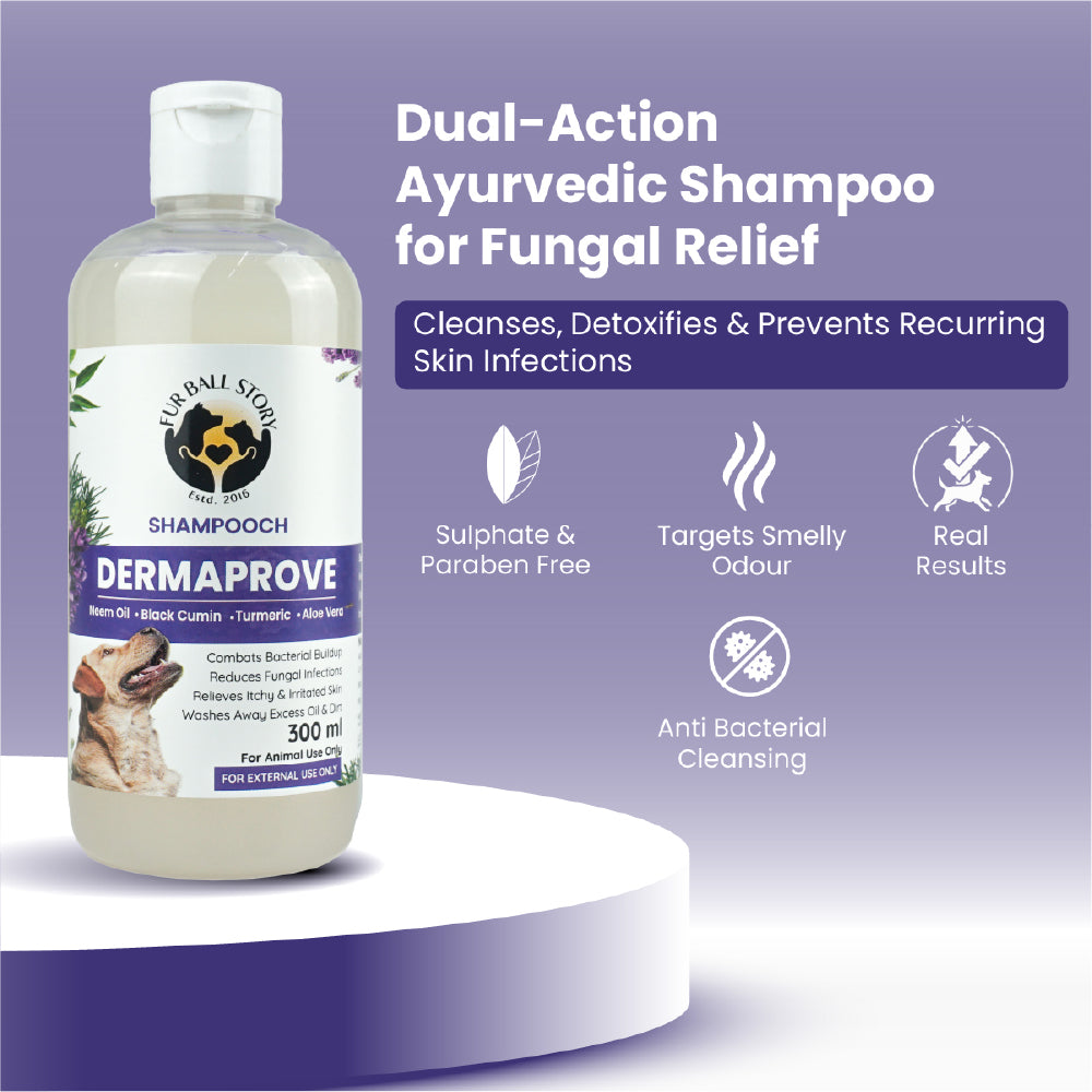 FurBall Story Shampooch Dermaprove Shampoo for Dogs image 3